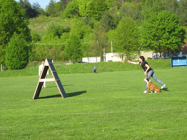 www.atibox.net * www.euroboxer.eu * www.boxergenealogia.eu